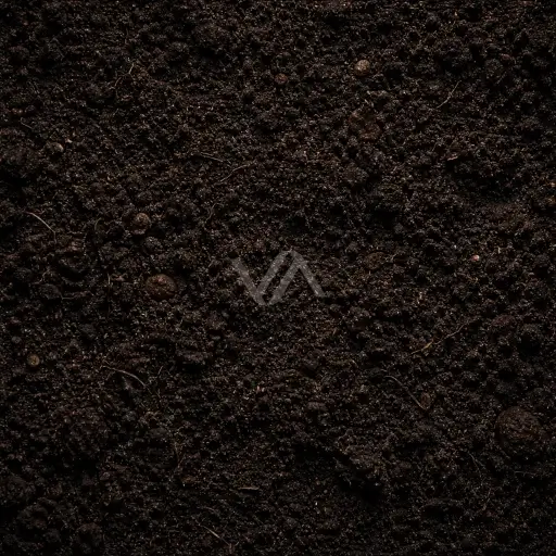 Acorde terroso en perfumería con matiz mineral, húmedo y profundo.